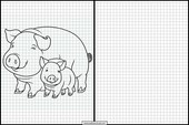 Schweine - Tiere 4