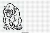 Chimpanser - Dyr 3