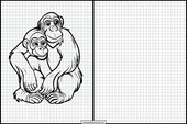 Chimpances - Animales 4