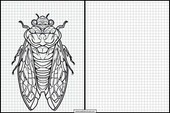 Cicaden - Dieren 1