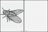 Cicadas - Animals 5