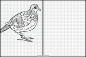 Quails - Animals 6