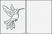 Colibris - Animales 6