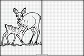 Roe Deer - Animals 2