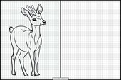 Roe Deer - Animals 5