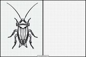 Cucarachas - Animales 5