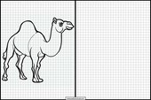 Dromedaries - Animals 2