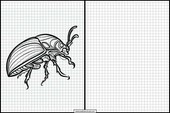 Beetles - Animals 1