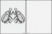 Escarabajos - Animales 3