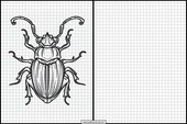 Escarabajos - Animales 4
