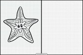Étoiles de mer - Animaux 1