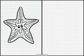 Starfish - Animals 1