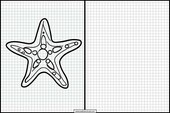 Estrelas-do-mar - Animais 2
