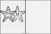 Étoiles de mer - Animaux 3