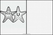 Starfish - Animals 3