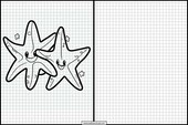 Estrellas de Mar - Animales 4