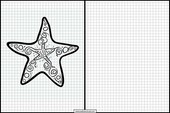 Étoiles de mer - Animaux 6