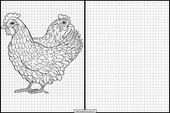 Poules - Animaux 4