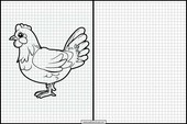 Poules - Animaux 5