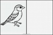 Sparrows - Animals 1