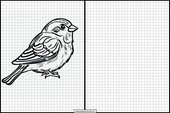 Sparrows - Animals 2