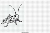 Crickets - Animals 1