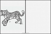 Gepard - Dyr 1