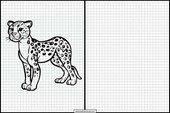 Cheetahs - Animals 2