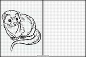 Ferrets - Animals 2