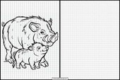 Wild Boar - Animals 1