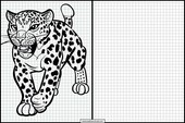 Leopards - Animals 1