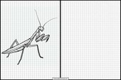 Praying Mantises - Animals 5