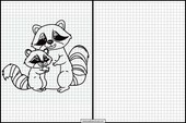 Raccoons - Animals 3