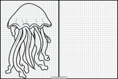Jellyfish - Animals 2