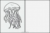 Jellyfish - Animals 3