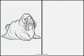 Walruses - Animals 4