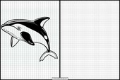 Orcas - Tiere 1