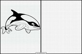 Orcas - Tiere 4
