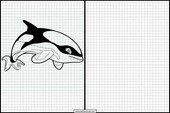 Orcas - Animales 4