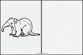 Anteaters - Animals 3