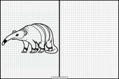 Anteaters - Animals 4