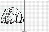 Anteaters - Animals 5