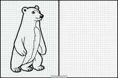 Isbjörnar - Djur 1