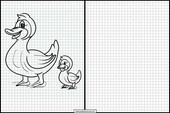 Enten - Tiere 2