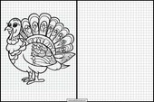 Turkeys - Animals 3