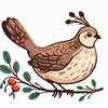 쉽게 할 수 있는 그림  메추라기 - 동물 메추라기 - 동물
