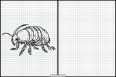 Vlooien - Dieren 1