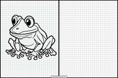 Frogs - Animals 1