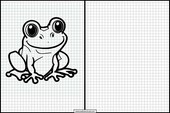 Frogs - Animals 2