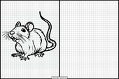 Rats - Animaux 1